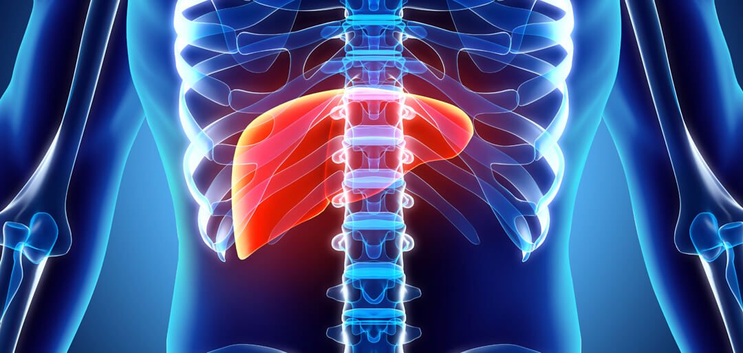 Understanding Liver Cancer and Its Treatment Briefly
