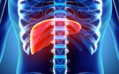 Understanding Liver Cancer and Its Treatment Briefly